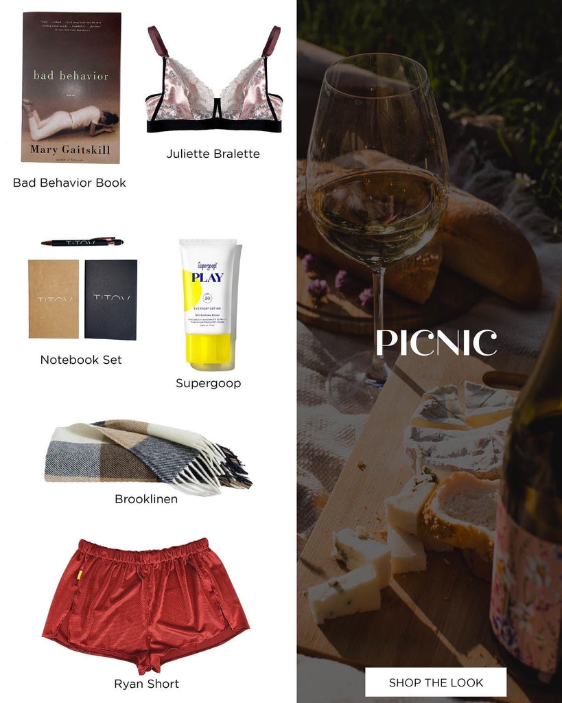 picnic inspiration with lingerie and books and stationary