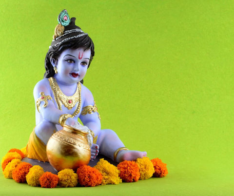 Janmashtami celebrated with Lord krishna's Idol decorated with flowers