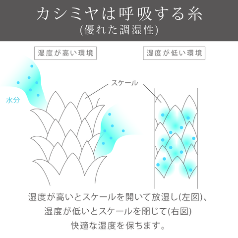 カシミヤの高い調湿性