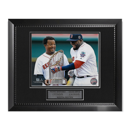 David Ortiz Boston Red Sox MLB Baseball 16 X 20 Inch Collage 