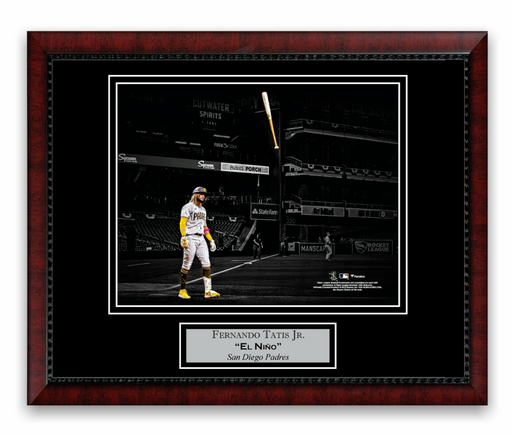 Fernando Tatis Jr. San Diego Padres Unsigned Home Run Photograph