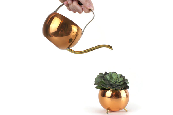 Coppercraft Guild copper and brass watering can and copper and brass planter