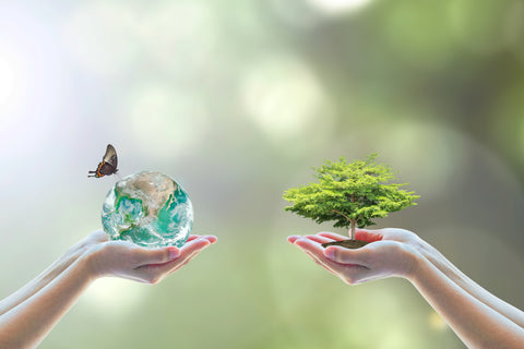 earth with butterfly and tree