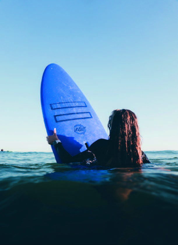 Indio Surfboards at Pukas Surf Shop