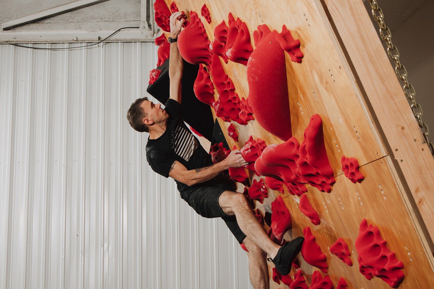 A climber climbs on the so ill fungus family holds after setting the wall