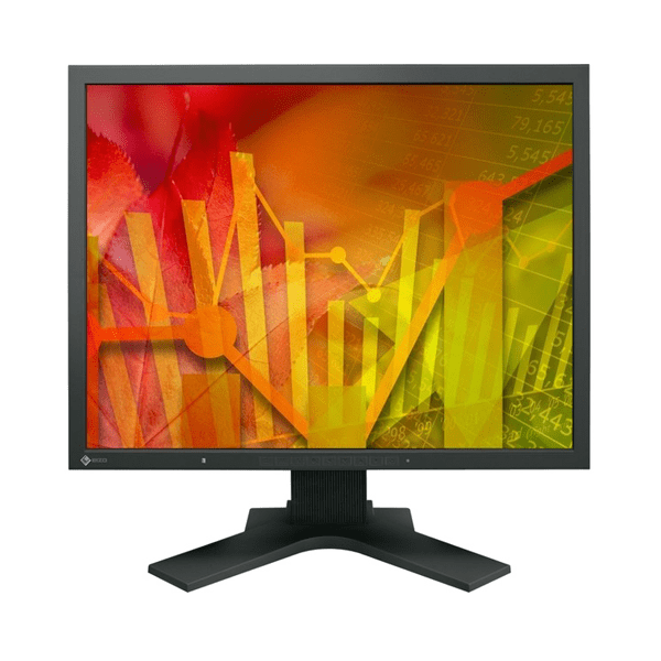 Eizo FlexScan S2133 21.3