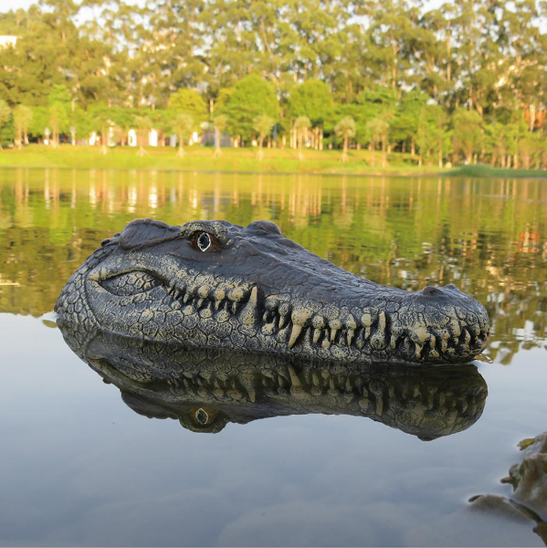 remote control alligator head boat for sale