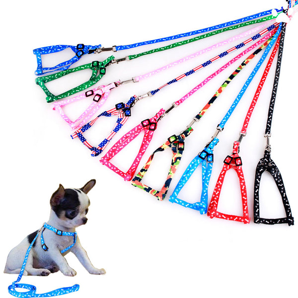 pet dog accessories