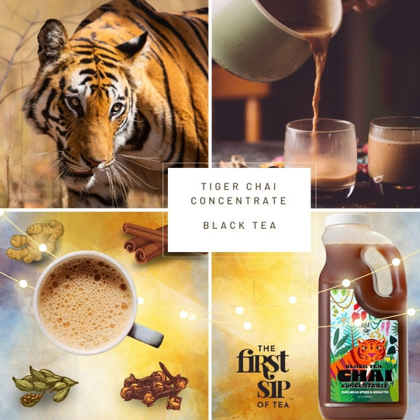 Spice Hut Tiger Chai Concentrate Indian Spiced Black Tea