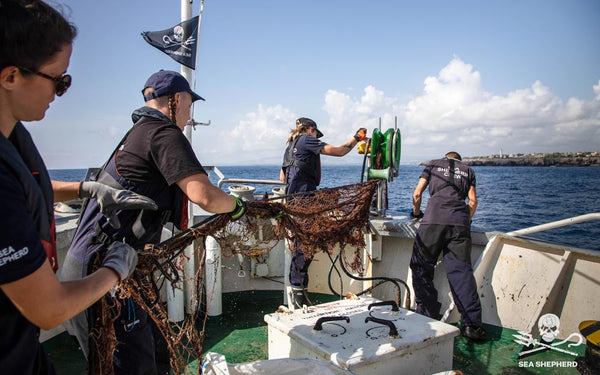 Sea Shepherd Italy