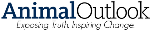 Animal Outlook logo