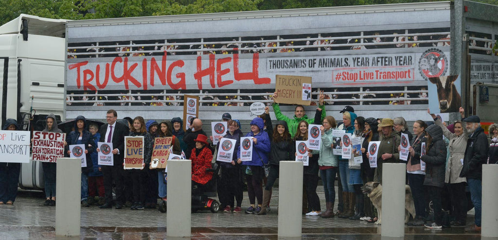 Activists in front of a livestock truck.