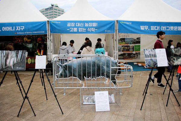 Korean Animal Rights Advocates
