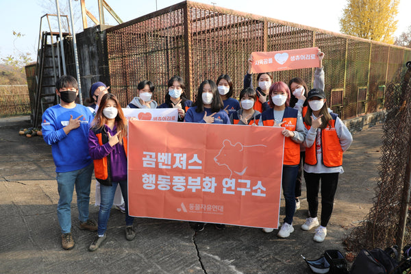 Korean Animal Welfare Association