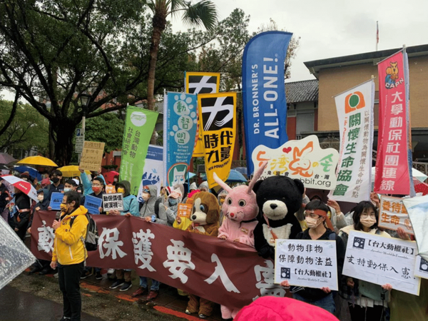 Taiwan Animal Equality Association (TAEA)