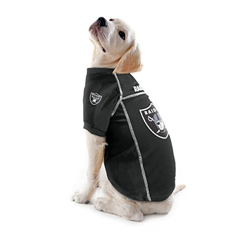 Las Vegas Raiders Running Dog Costume