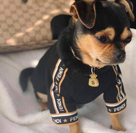 fendi dog coat