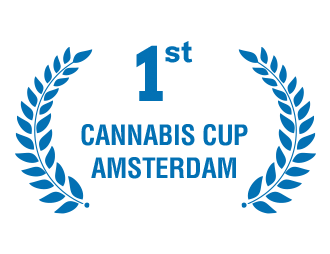 1st Place - Cannabis Cup Amsterdam