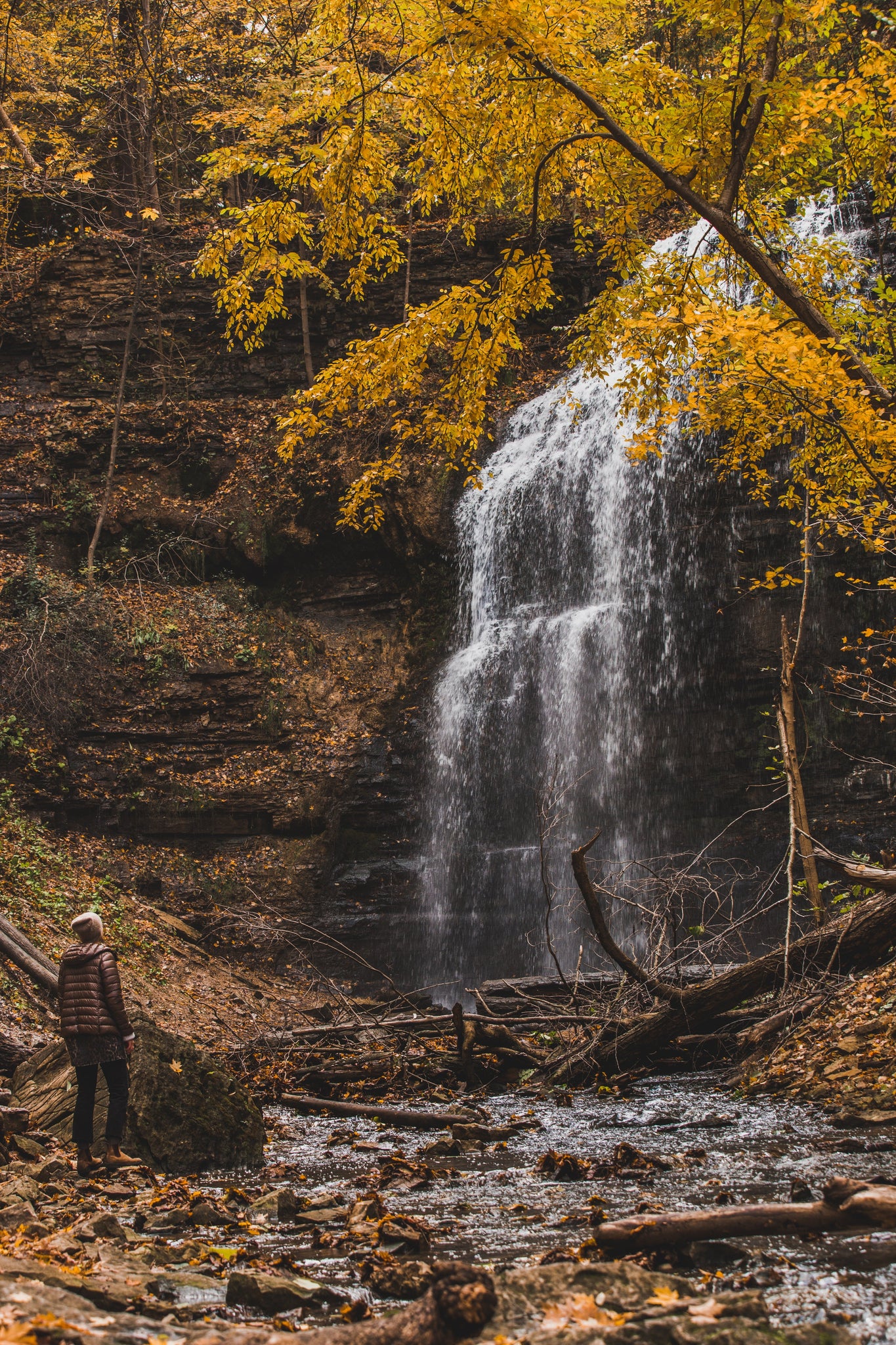 clear lake coffee roasters autumnal 'vibes' waterfall