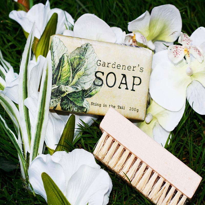 Picture of Gardener's Exfoliating Olive Soap and Wooden Nailbrush