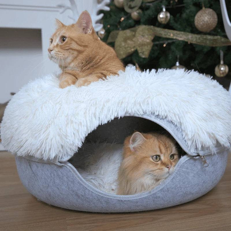 Woman petting a cat sitting on a cozy bed with another cat underneath.