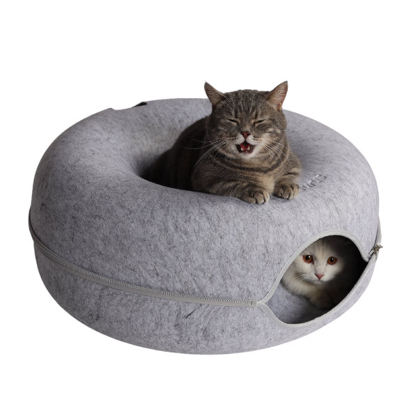 Two cats in a felt pet bed, one peeking out, another on top squinting.