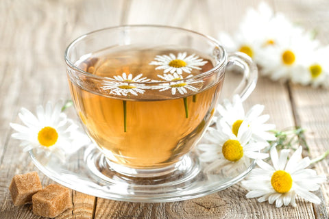 Chamomile Tea for Preventing UTI