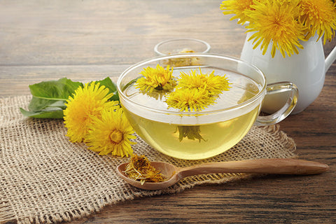Dandelion Tea for Prevent UTI