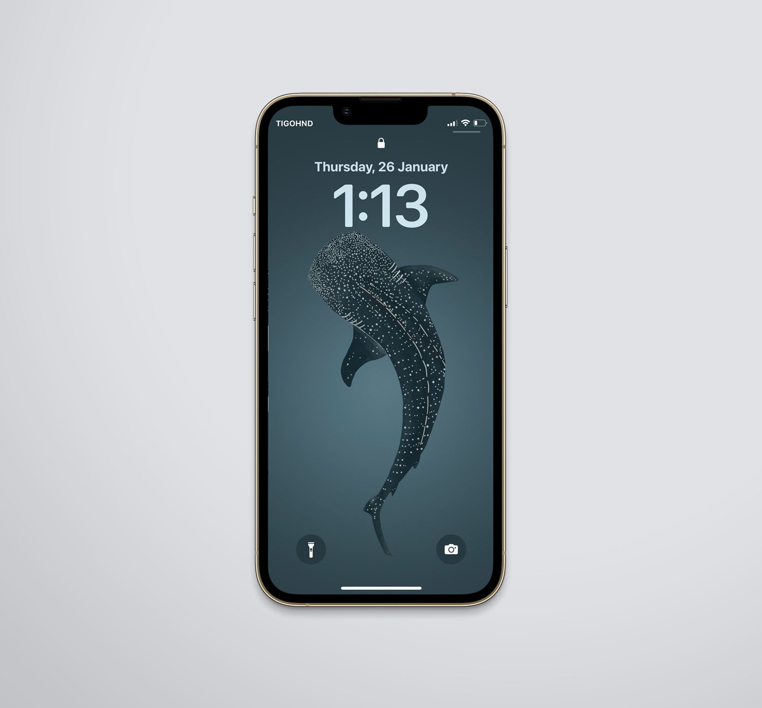 whale iphone wallpaper