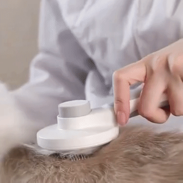 Self Cleaning Cat Comb