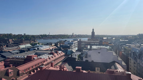 View of Stockholm from rooftop