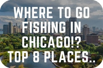 where_to_go_fishing_in_chicago
