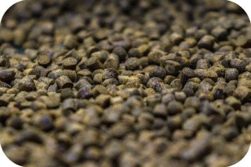 pellets_for_cat_fishing