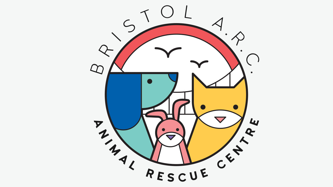 Bristol Animal Rescue Centre.jpg__PID:5fc02bf3-c3e9-4a04-af0a-33c00f9c96b5