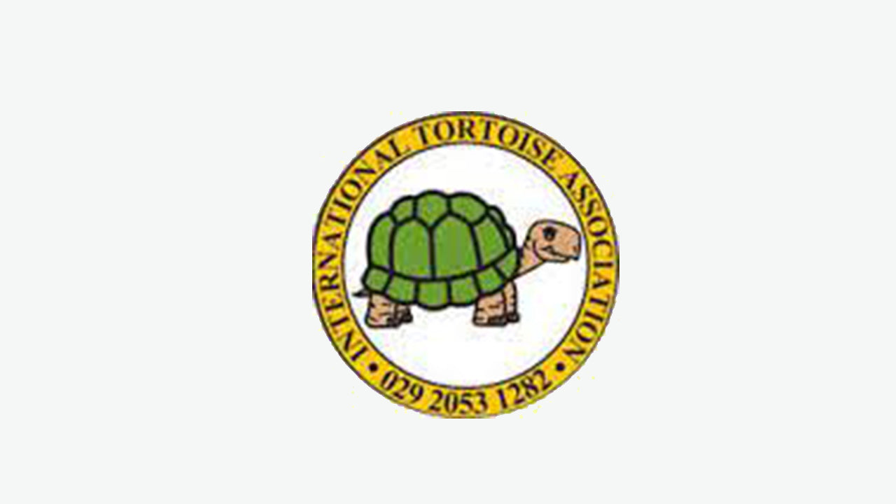 International Tortoise Association.jpg__PID:8a6d4b8d-aea1-461b-ac4f-258e45a6a71e