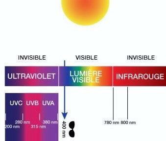 La coupure UV
