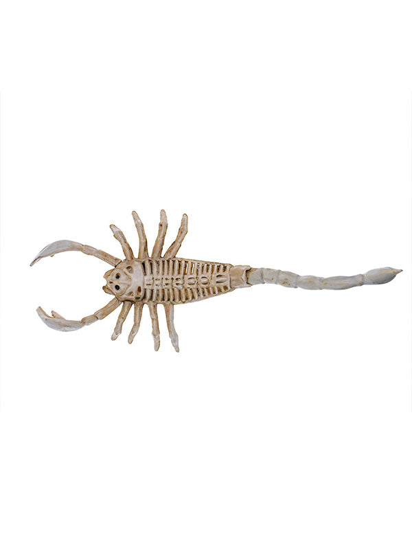 Halloween Scorpion Skeleton Bones Simulation Horror Props – Costumescenter