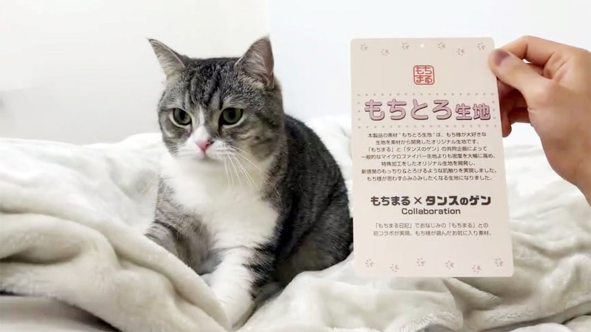 もちまる日記 フランネルブランケット 限定 - 猫雑貨・オーナーズグッズ