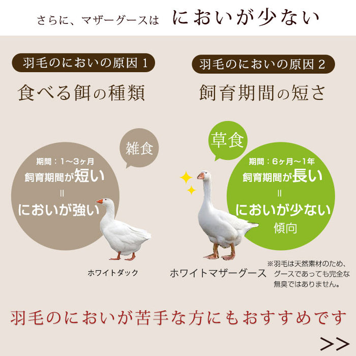 安値 羽毛布団 ダブル ポーランド産ホワイトマザーグース 日本製