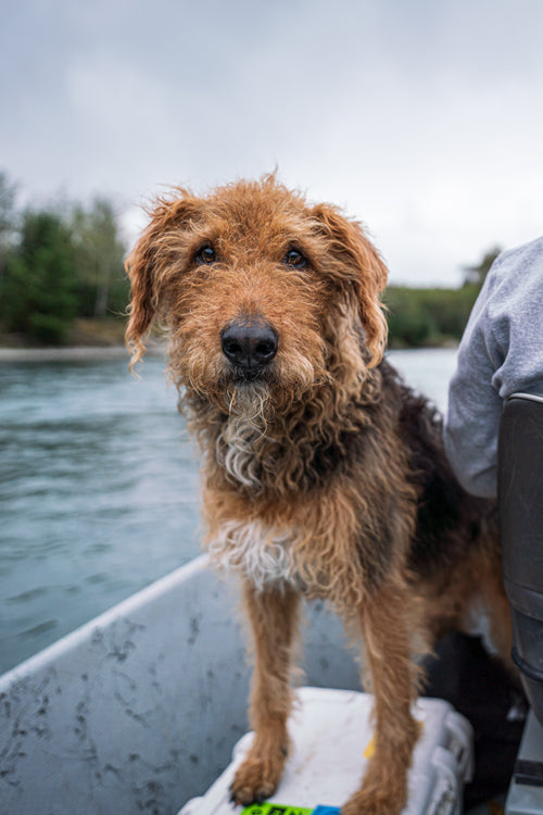 Lael Johnson - Fly Fishing Guide on Washington's Olympic Pennisula