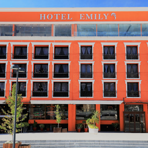 Hotel Emily â€“ Operadora Vivelo