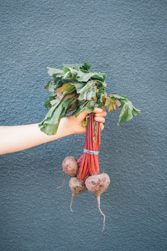 How can beets support a healthy immune system | NutriGardens