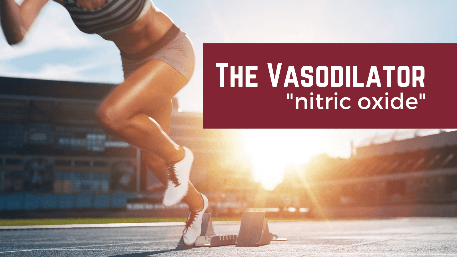 How does nitric oxide cause vasodilation? | NutriGardens