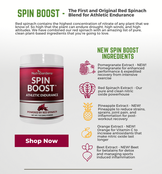 Spin Boost Powder Infographic | Red Spinach Powder