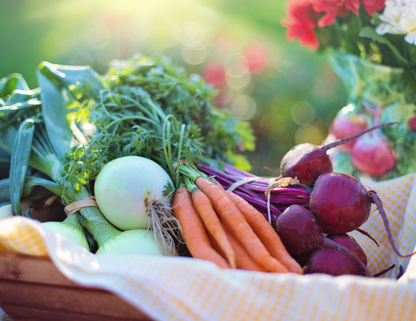 The Benefits of Vegetables High In Nitrates | NutriGardens