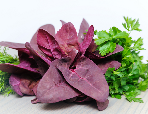 The Top Benefits and Facts About Red Spinach | NutriGardens