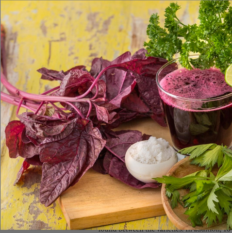 Top Nitric Oxide Foods, Ranked | Red Spinach | Spin Boost | NutriGardens