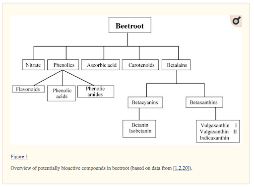 bioactive compounds in beetroot | NutriGardens