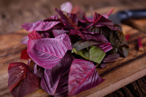 red spinach supplement
