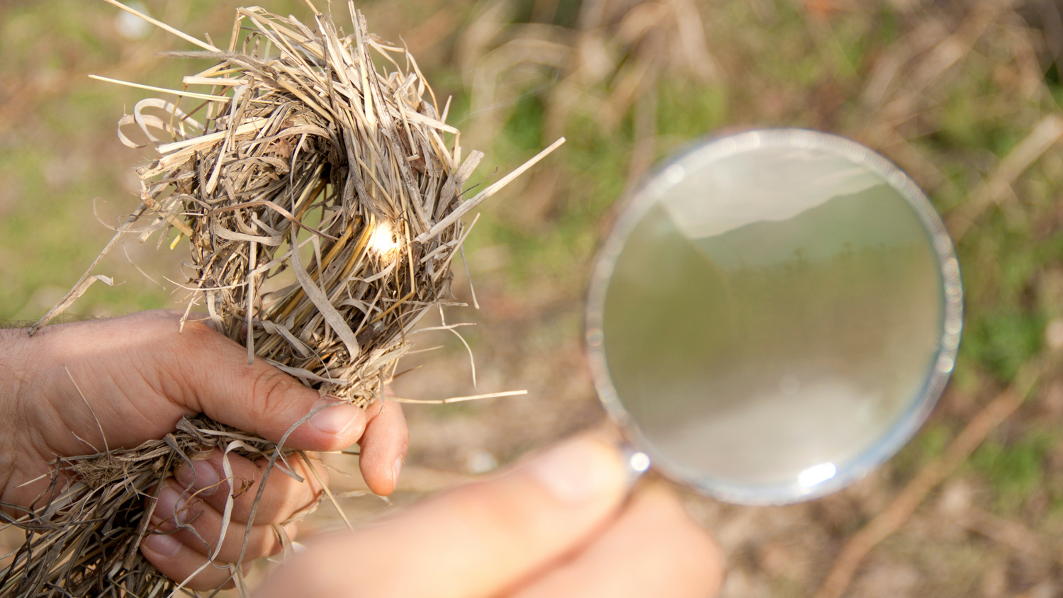 Magnifying Glass Fire Starter Tips Prepared4x